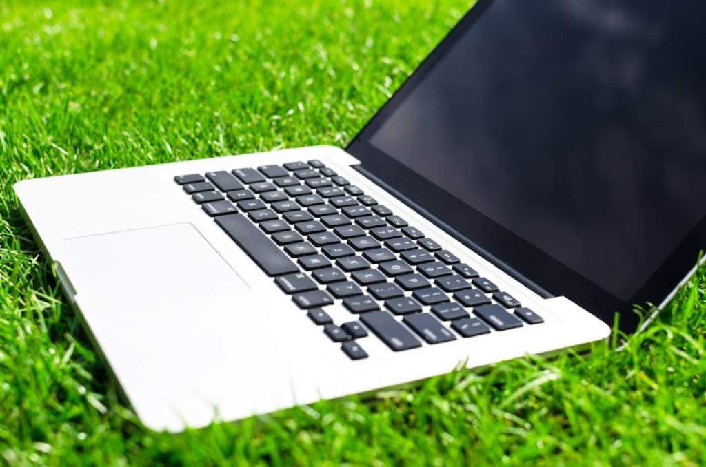 A silver laptop lies open on a lawn. It's displaying information about lawn care.