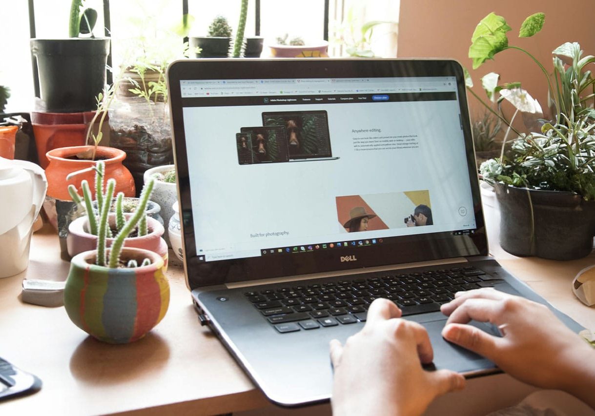 How Can Portfolio Pages Increase Landscaping Sales?